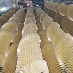 白萝卜开云官方网页版-开云(中国)机
