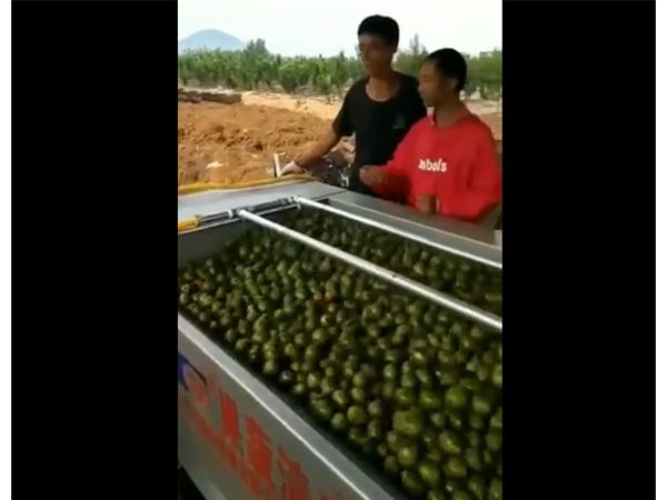 核桃去皮开云官方网页版-开云(中国)一体机视频