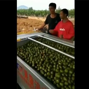 核桃去皮开云官方网页版-开云(中国)一体机视频