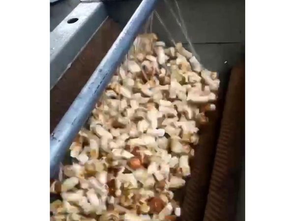 松茸开云官方网页版-开云(中国)机视频