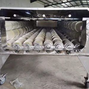 大型果蔬开云官方网页版-开云(中国)机