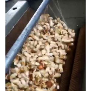 松茸开云官方网页版-开云(中国)机视频