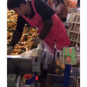 胡萝卜开云官方网页版-开云(中国)机视频