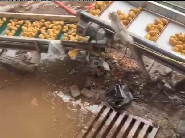 土豆开云官方网页版-开云(中国)机视频