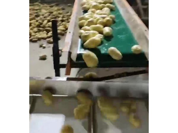 土豆开云官方网页版-开云(中国)机视频