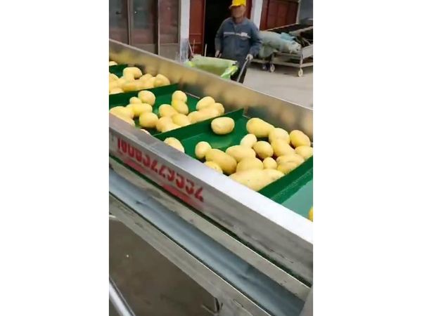 土豆开云官方网页版-开云(中国)视频