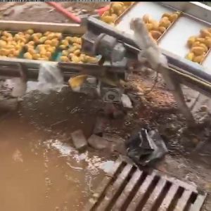 土豆开云官方网页版-开云(中国)机视频
