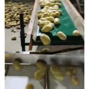 土豆开云官方网页版-开云(中国)机视频