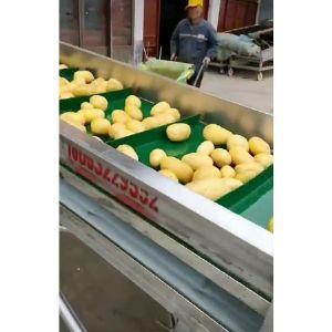 土豆开云官方网页版-开云(中国)视频